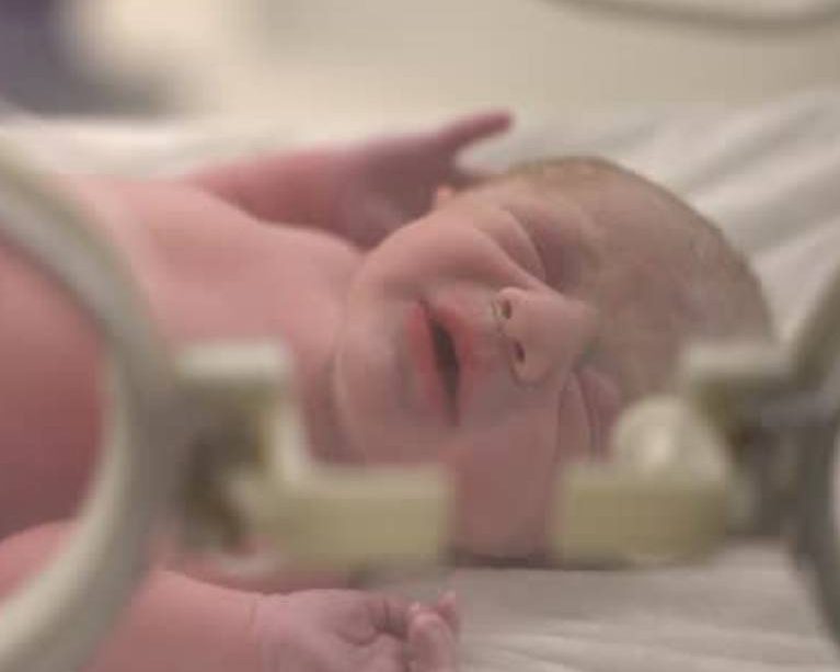 New Project - 2026-01-20T142924.168